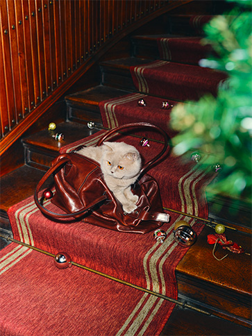 Borse Natale Maxandco Banner Box Desktop (7) MAX&Co.